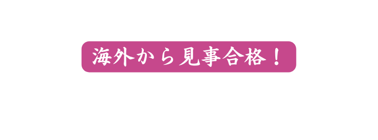 海外から見事合格